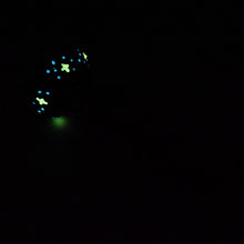 Load image into Gallery viewer, H3SJZ68 Hellion Medium 0030 UV GITD CS
