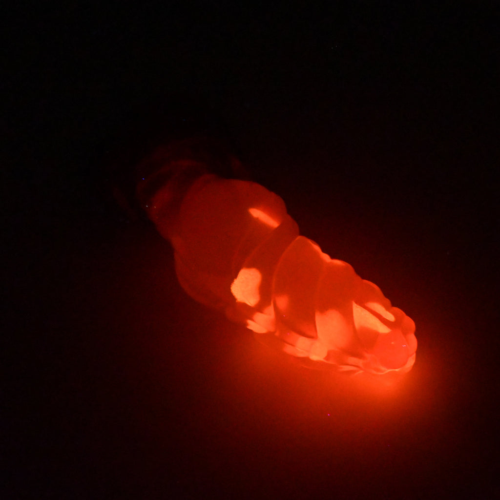P2TJZ85 Pluto Small NC 0031 UV GITD CS