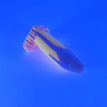 Load image into Gallery viewer, W1MHZ33 Tellus Mini 0050 UV
