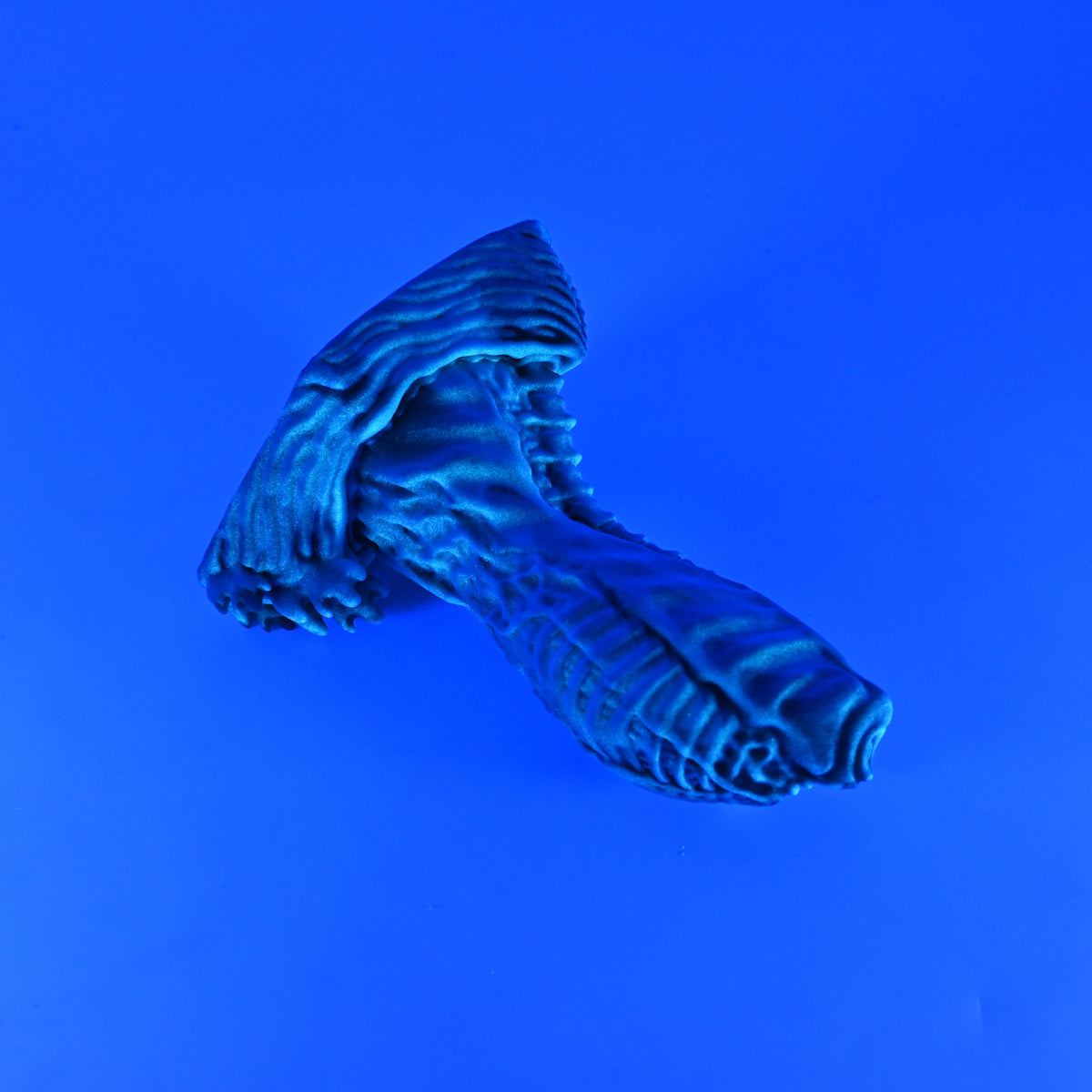 X2SKA51 Shin Small 0030 UV GITD