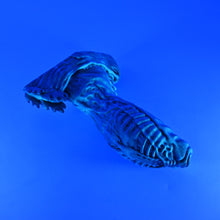 Load image into Gallery viewer, X3SKA52 Shin Medium 0030 UV GITD
