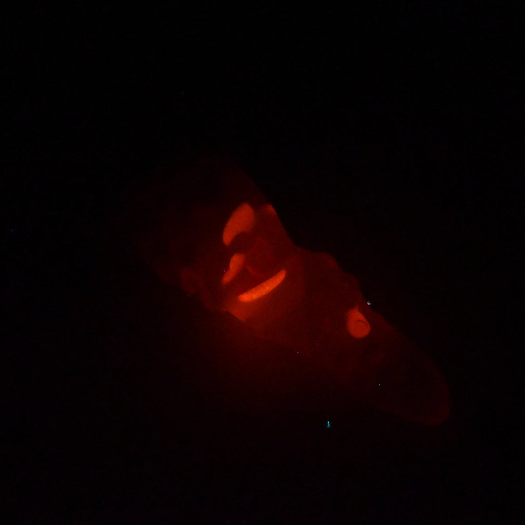 N2TKZ81 Nereid Small NC 0031 UV GITD CS