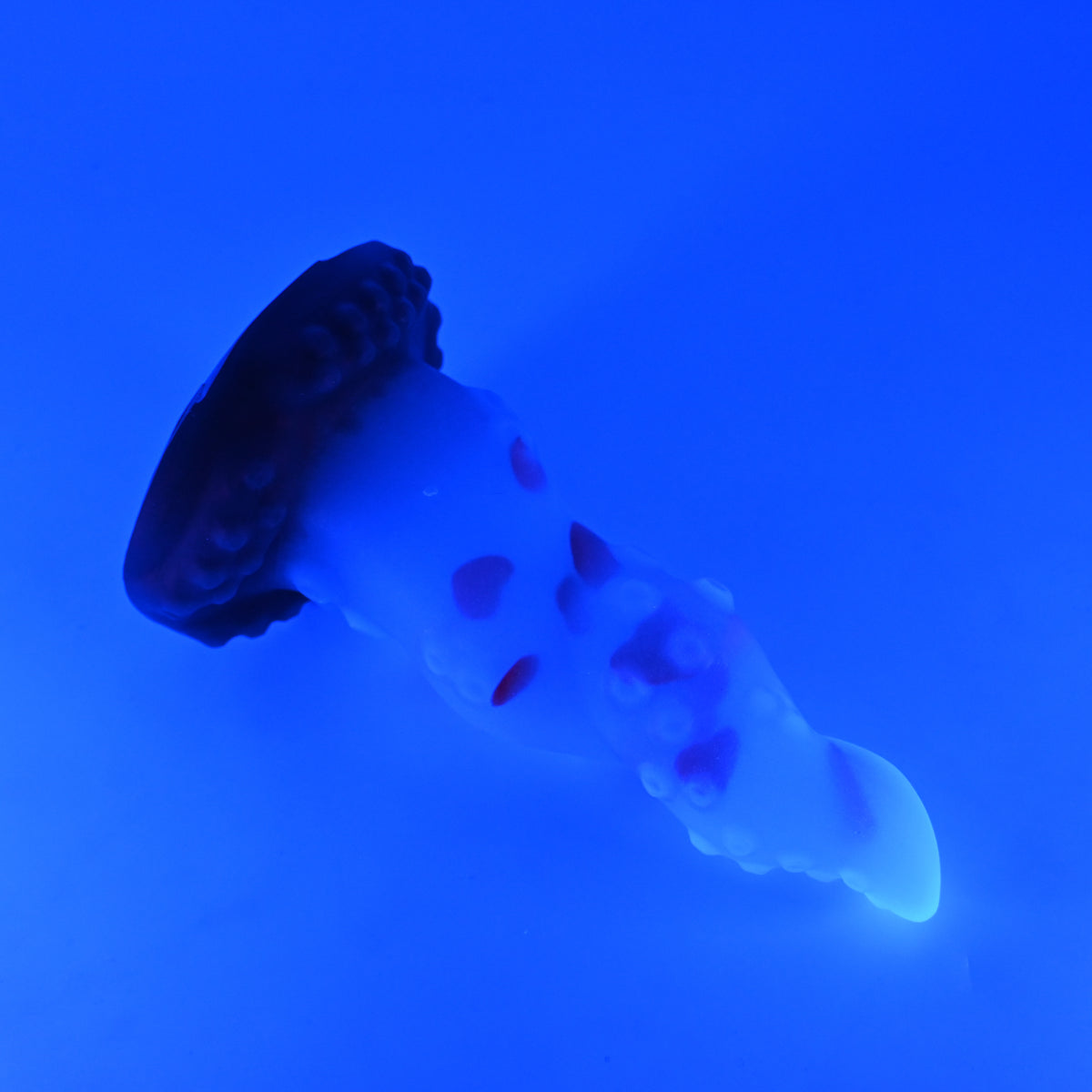 N3TJZ82 Nereid Medium NC 0031 UV GITD CS
