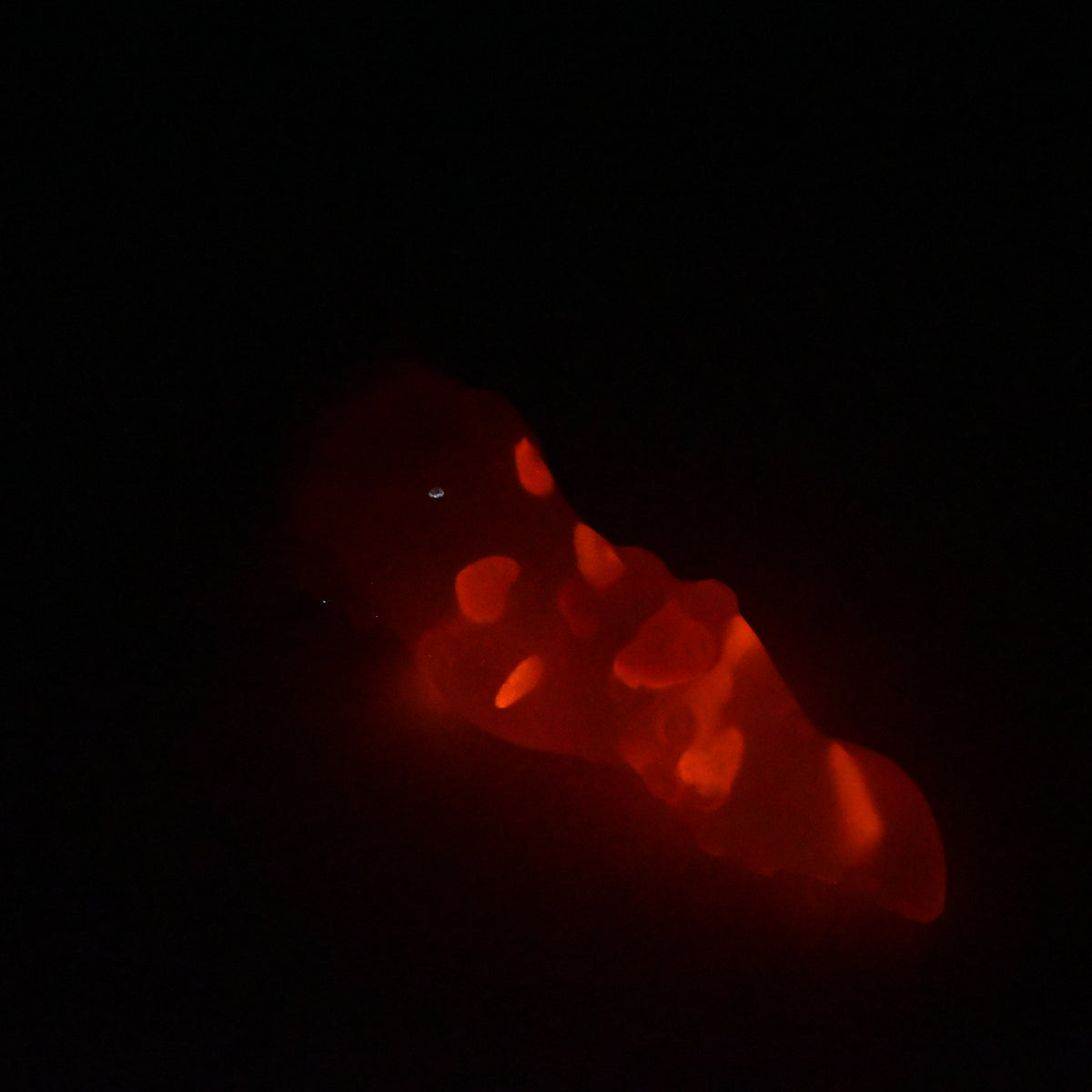 N3TJZ82 Nereid Medium NC 0031 UV GITD CS