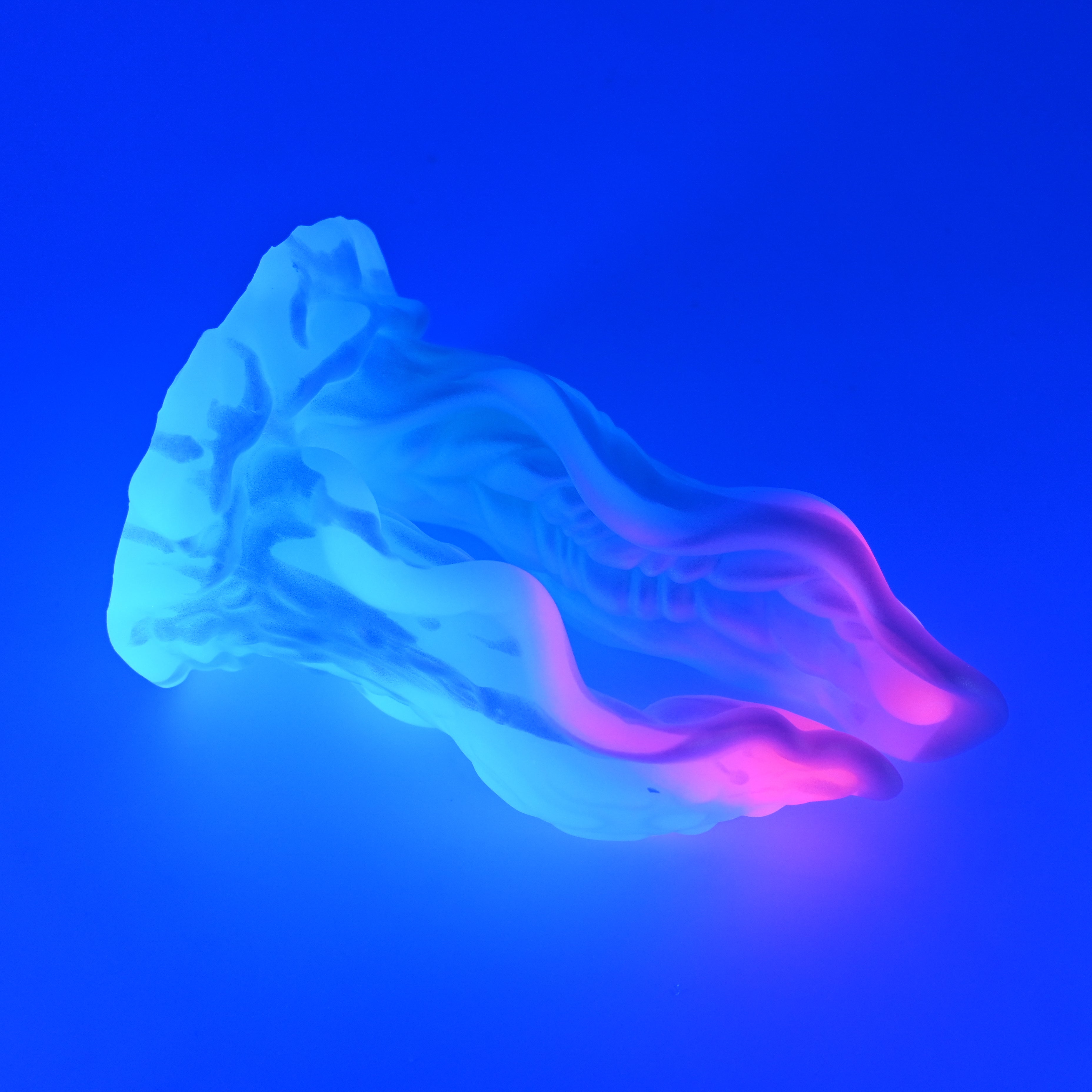 A4MJZ24 Alara Large 0050 UV GITD CS