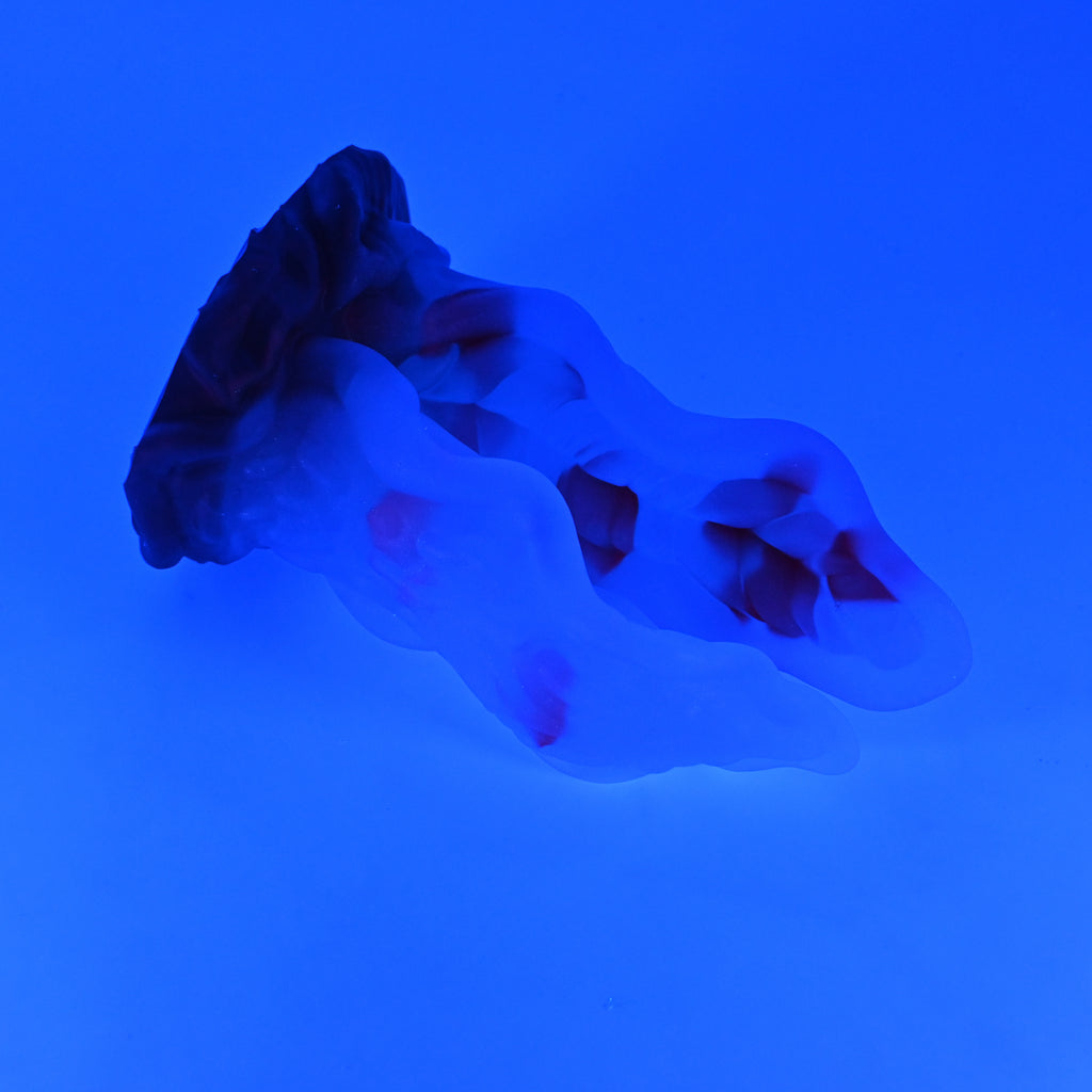 A4TJZ25 Alara Large NC 0031 UV GITD CS