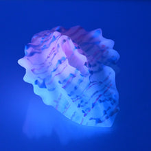 Load image into Gallery viewer, C2XDU75 Calypso Small 0020 UV GITD
