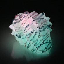 Load image into Gallery viewer, C2XDU75 Calypso Small 0020 UV GITD
