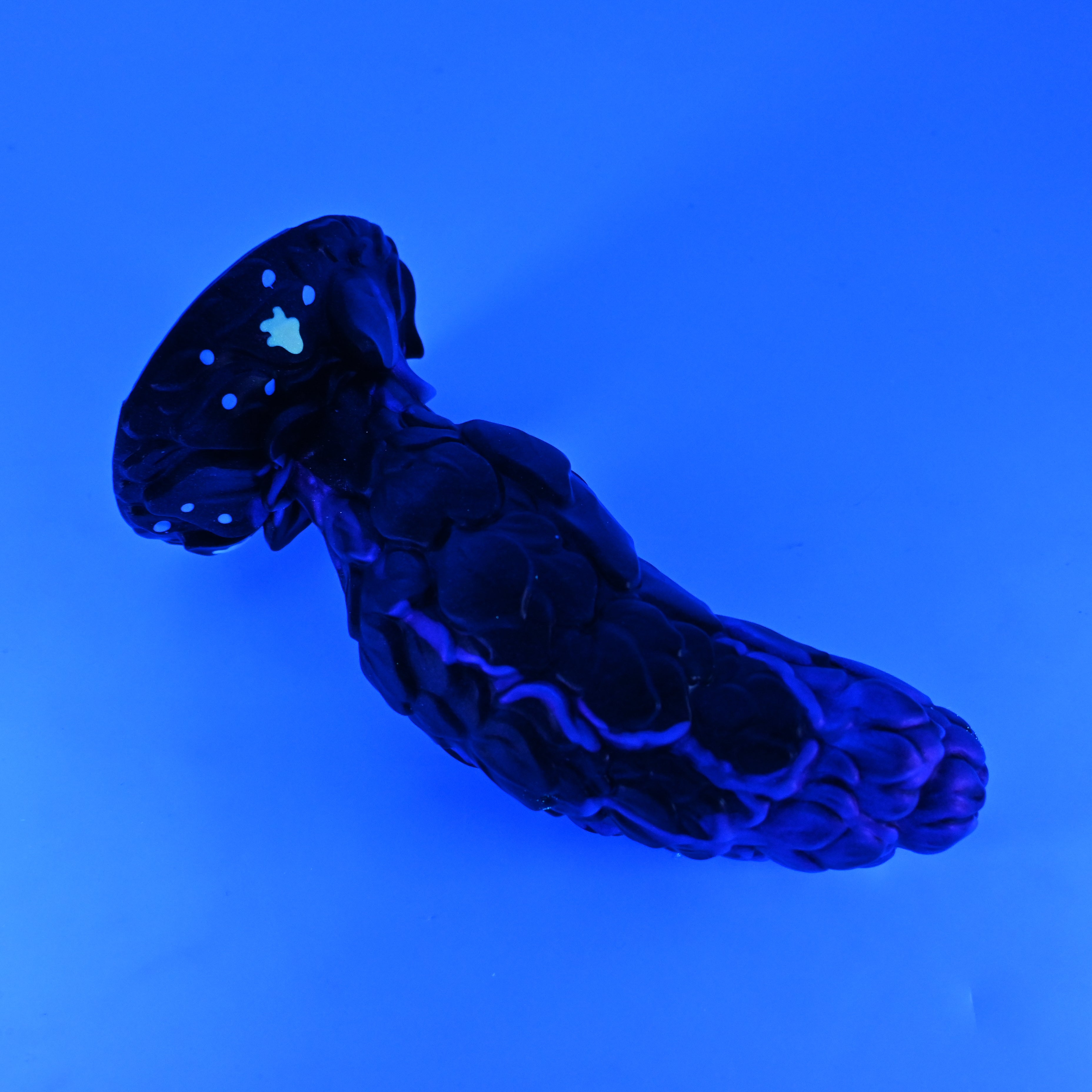 B3MJZ32 Flora Medium 0050 UV GITD