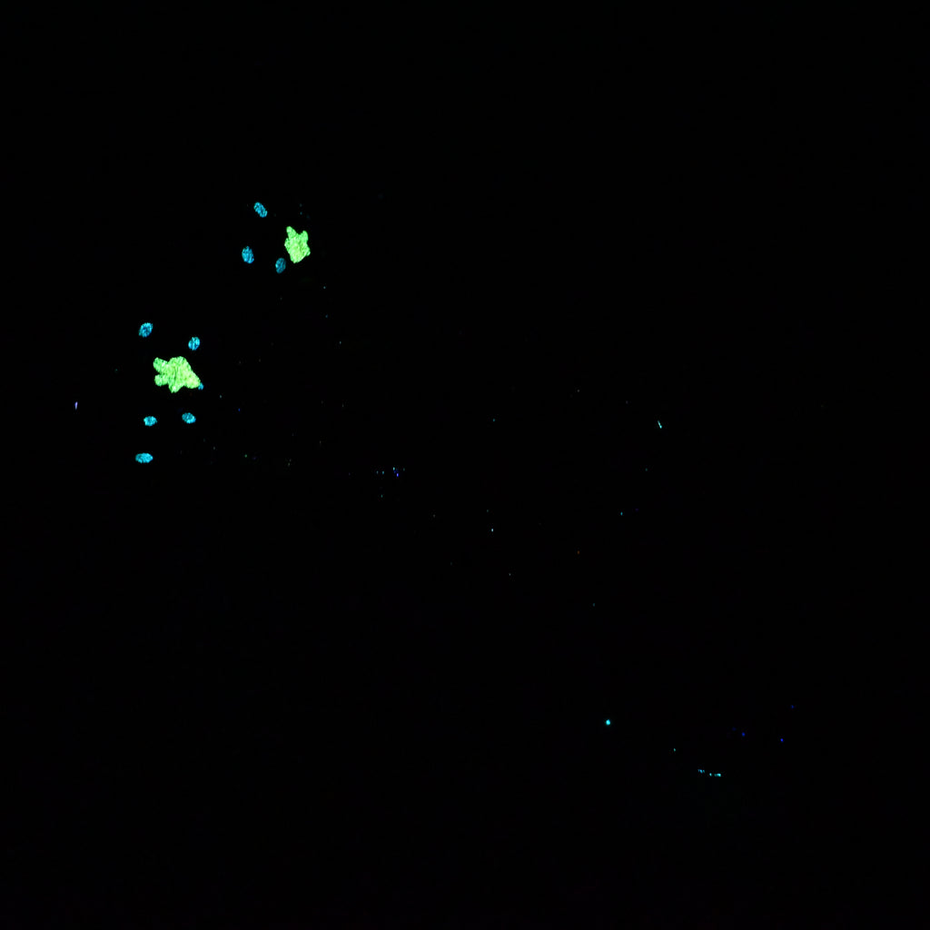 B3MJZ32 Flora Medium 0050 UV GITD
