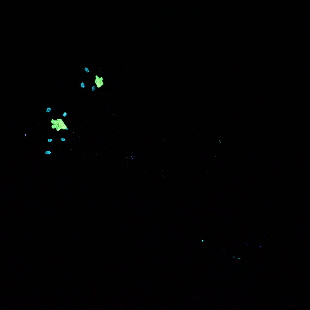 B3MJZ32 Flora Medium 0050 UV GITD