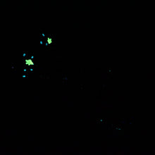 Load image into Gallery viewer, B3MJZ32 Flora Medium 0050 UV GITD
