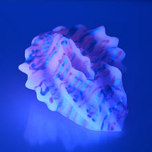 Load image into Gallery viewer, C2MDU66 Calypso Small 0050 UV GITD
