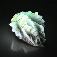 Load image into Gallery viewer, C2MDU65 Calypso Small 0050 UV GITD
