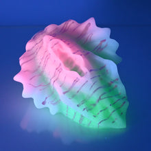 Load image into Gallery viewer, C4SDU78 Calypso Large 0030 UV GITD
