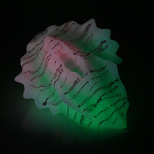 Load image into Gallery viewer, C4SDU78 Calypso Large 0030 UV GITD
