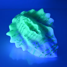 Load image into Gallery viewer, C4MDU82 Calypso Large 0050 UV GITD
