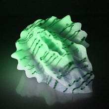 Load image into Gallery viewer, C4MDU82 Calypso Large 0050 UV GITD
