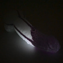 Load image into Gallery viewer, T2SFW66 Titan Small 0030 UV GITD
