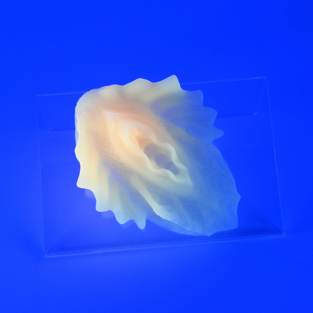 C2XKB43 Calypso Small 0020 UV GITD