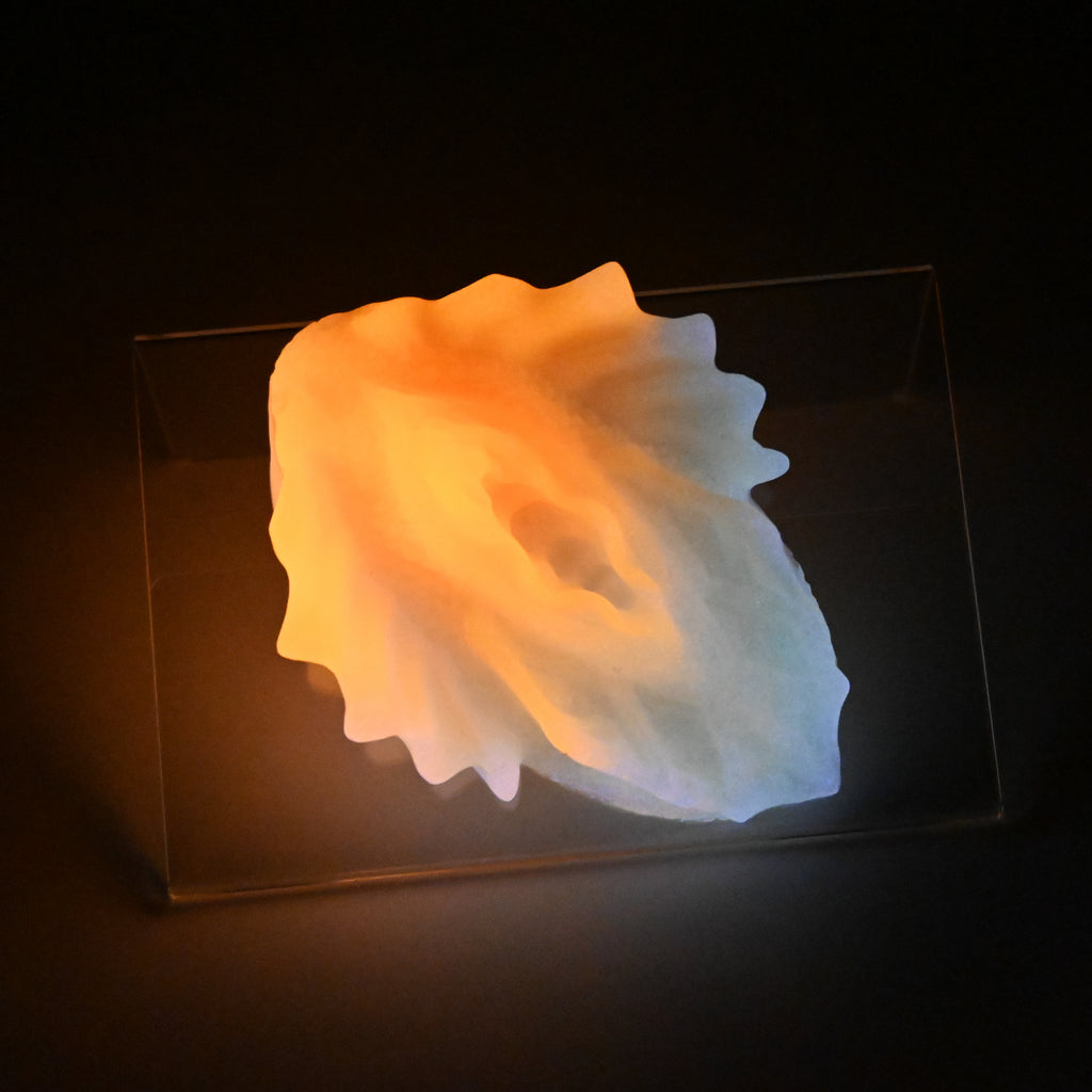 C2XKB43 Calypso Small 0020 UV GITD