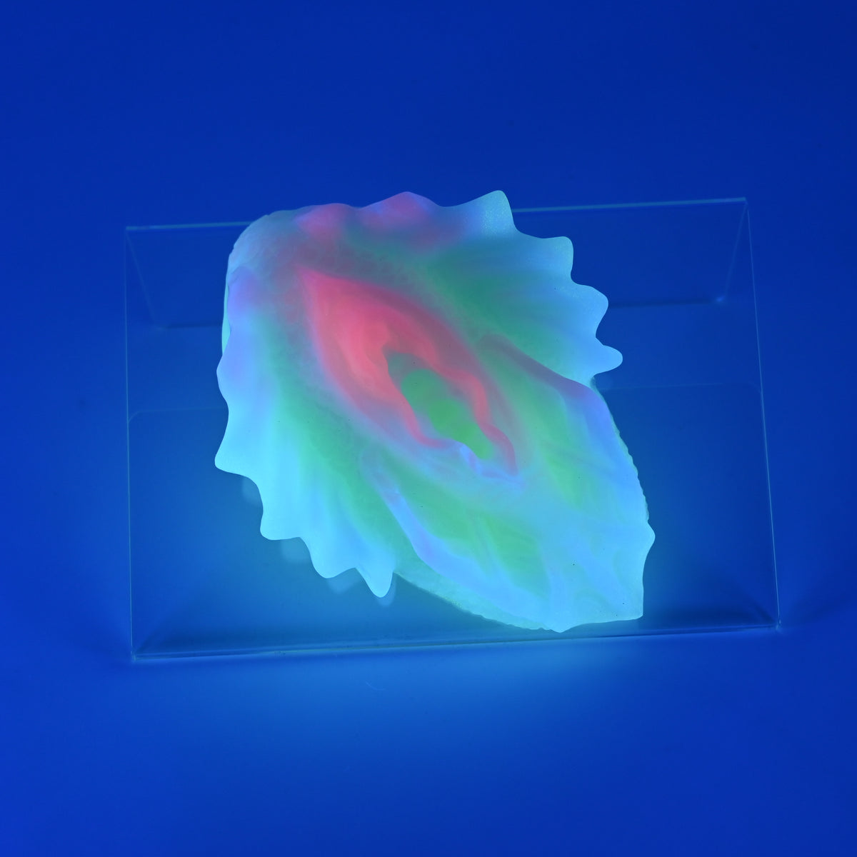 C2MKB44 Calypso Small 0050 UV GITD