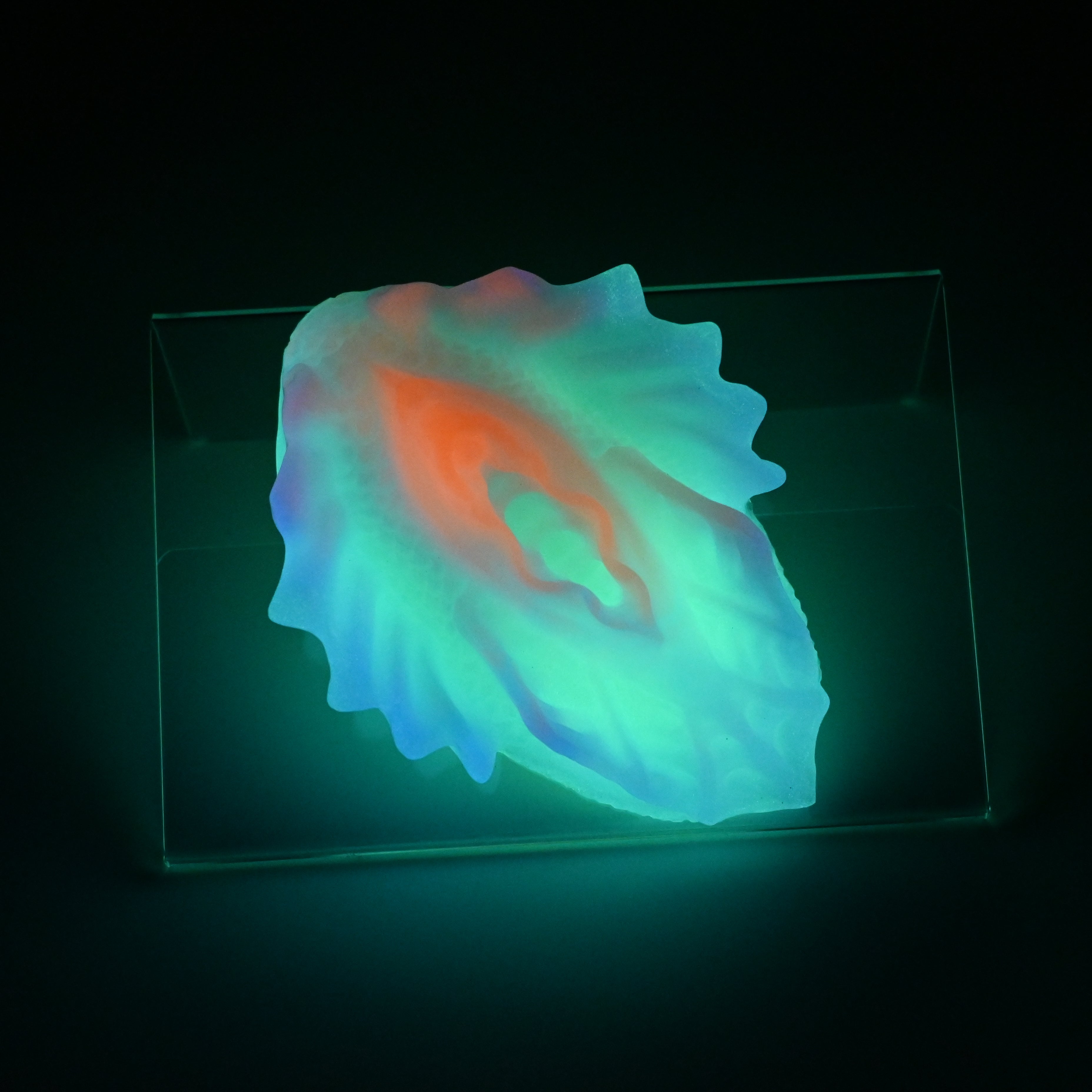 C2MKB44 Calypso Small 0050 UV GITD