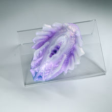 Load image into Gallery viewer, C2SKB45 Calypso Small 0030 CS

