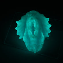 Load image into Gallery viewer, C2XGX88 Calypso Small 0020 UV GITD
