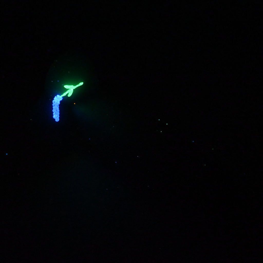 W3MKC43 Tellus Medium 0050 UV GITD GOBLIN HOLE