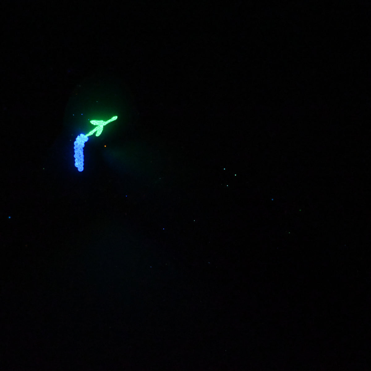 W3MKC43 Tellus Medium 0050 UV GITD GOBLIN HOLE