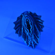 Load image into Gallery viewer, C2XGX90 Calypso Small 0020 UV GITD
