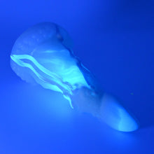 Load image into Gallery viewer, N2SFW21 Nereid Small 0030 UV GITD
