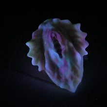 Load image into Gallery viewer, C2MGX91 Calypso Small 0050 UV GITD
