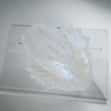 Load image into Gallery viewer, C2TGX92 Calypso Small NC 0031 CS
