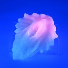 Load image into Gallery viewer, C4SGX93 Calypso Large 0030 UV GITD
