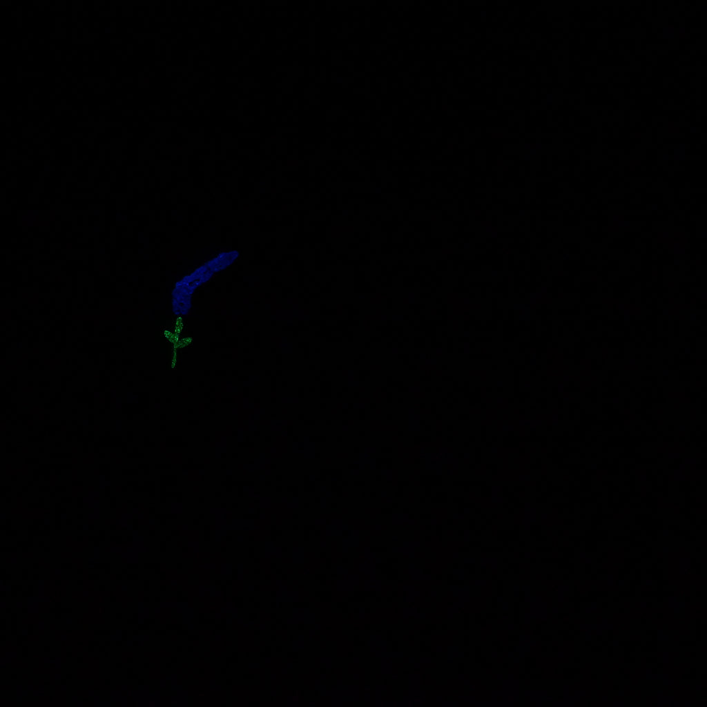Q2MKB90 Aquus Small 0050 UV GITD