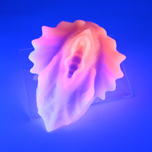 Load image into Gallery viewer, C4SGX94 Calypso Large 0030 UV GITD
