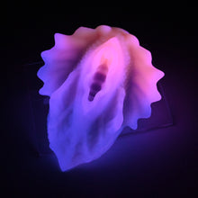 Load image into Gallery viewer, C4SGX94 Calypso Large 0030 UV GITD
