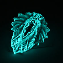 Load image into Gallery viewer, C4XGX95 Calypso Large 0020 UV GITD
