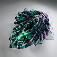 Load image into Gallery viewer, C4SGX96 Calypso Large 0030 CS
