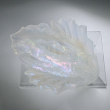 Load image into Gallery viewer, C4TGX97 Calypso Large NC 0031 CS
