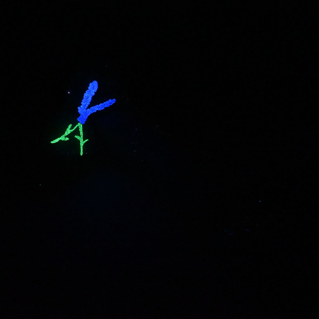 Q4MKB96 Aquus Large 0050 UV GITD GOBLIN HOLE