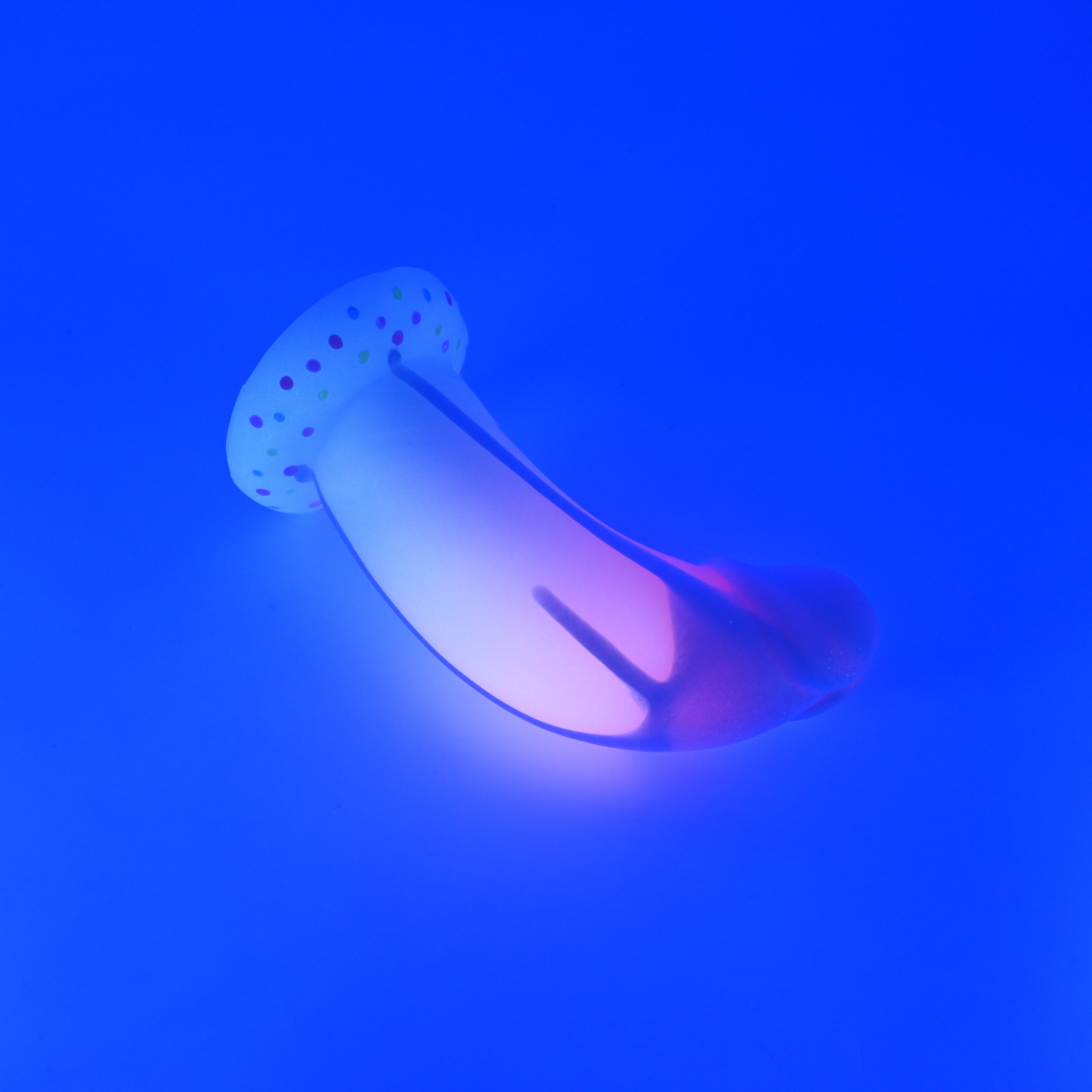 G3SKB52 Ignis Medium 0030 UV GITD GOBLIN HOLE