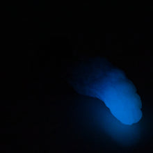 Load image into Gallery viewer, B1XEV11 Flora Mini 0020 UV GITD CS
