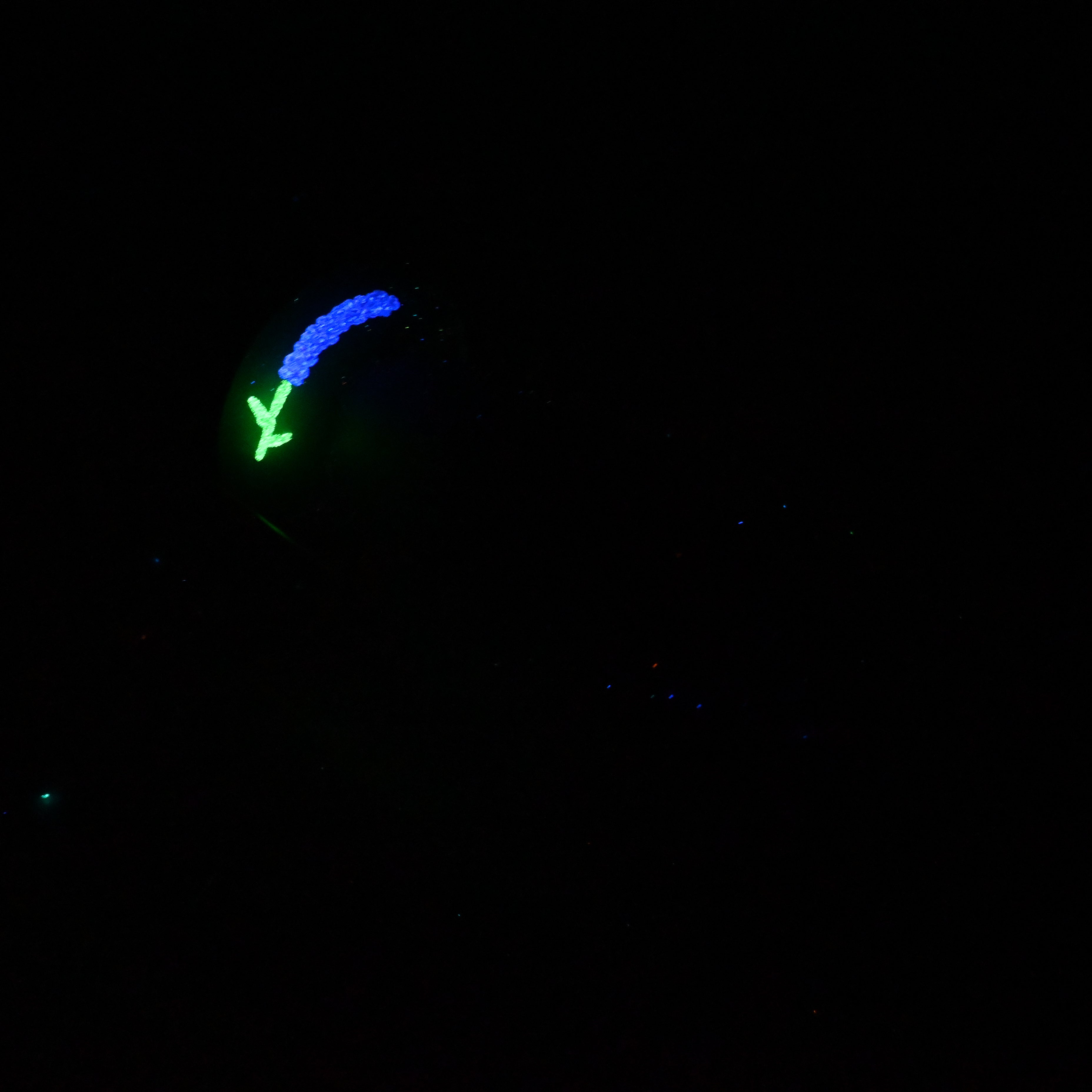 G3MKB53 Ignis Medium 0050 UV GITD GOBLIN HOLE