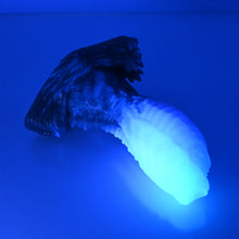 Load image into Gallery viewer, X2TEW26 Shin Small 0020 UV GITD CS
