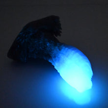 Load image into Gallery viewer, X2TEW26 Shin Small 0020 UV GITD CS
