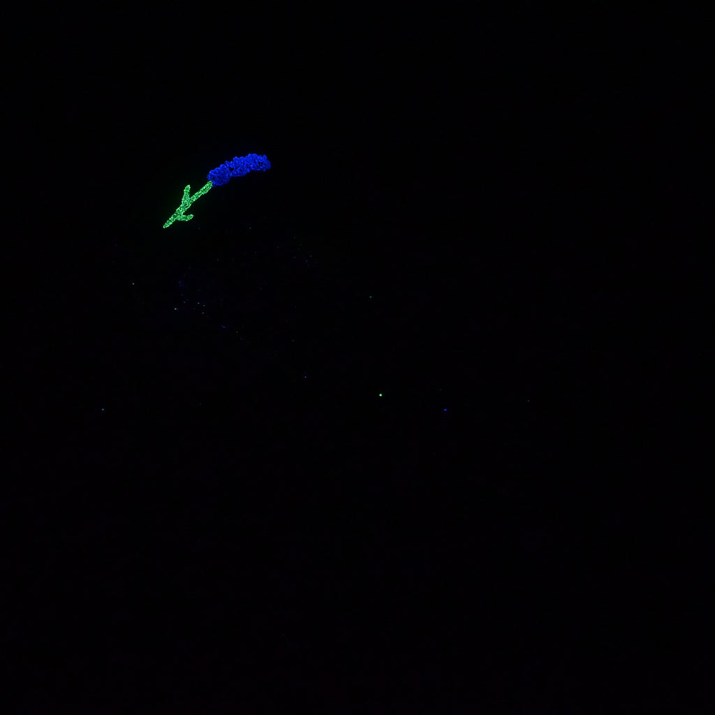 Z4MKC58 Caelus Large 0050 UV GITD GOBLIN HOLE