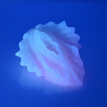 Load image into Gallery viewer, C2XEW59 Calypso Small 0020 UV GITD
